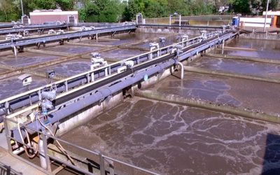 Wastewater Testing Detection